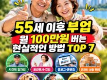 55세 이후 부업으로 월 100만원을 목표로 한다면?