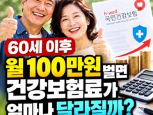 60세 이후 월 100만원 벌면 건강보험료 얼마나 달라질까?